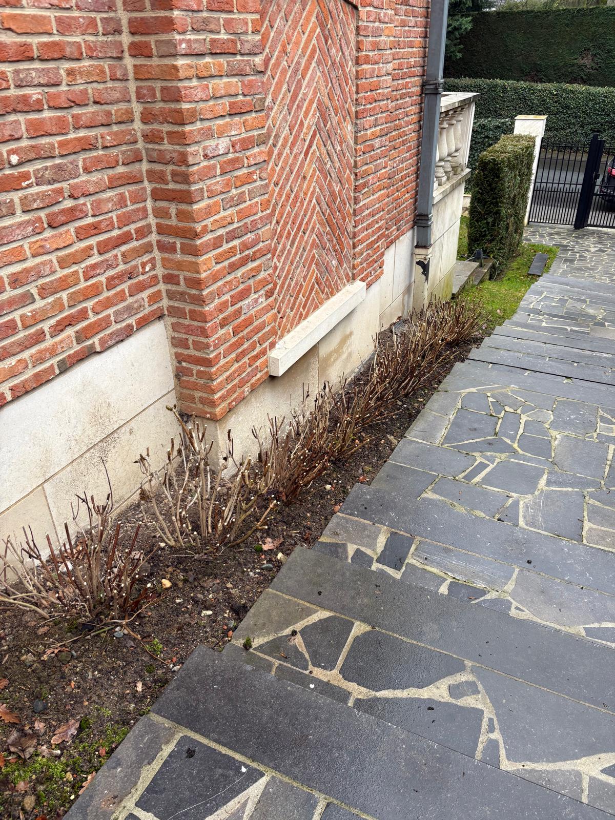 Rupture d'étanchéité mur contre terres - Uccle